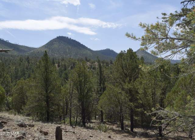 Property at TBD CR 2276, Nutrioso, AZ 85932