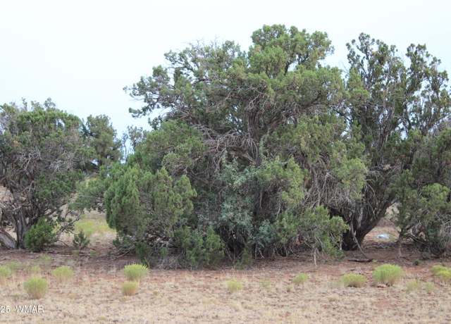 Property at 9830 Texas Ln, White Mountain Lake, AZ 85912
