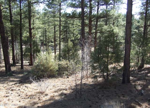 Property at 181 N Retreat Way, Show Low, AZ 85901