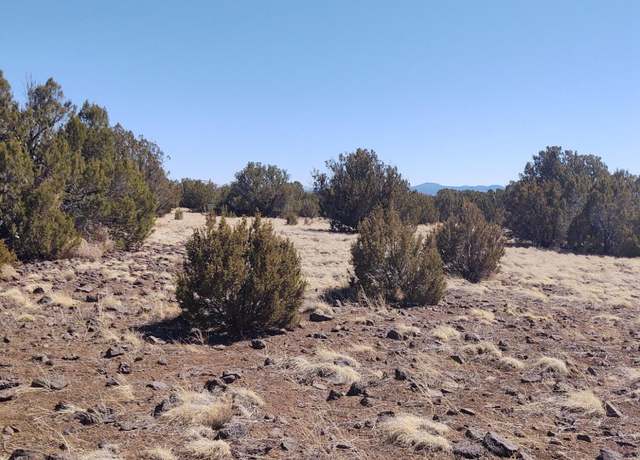 Property at 182 Show Low Pnes, Concho, AZ 85924