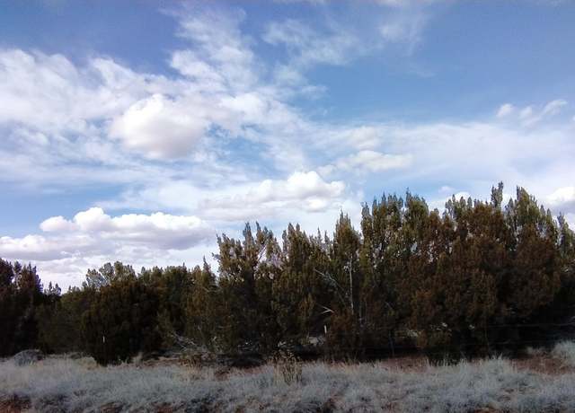 Property at 1939 Bourdon Ranch Rd, Show Low, AZ 85901