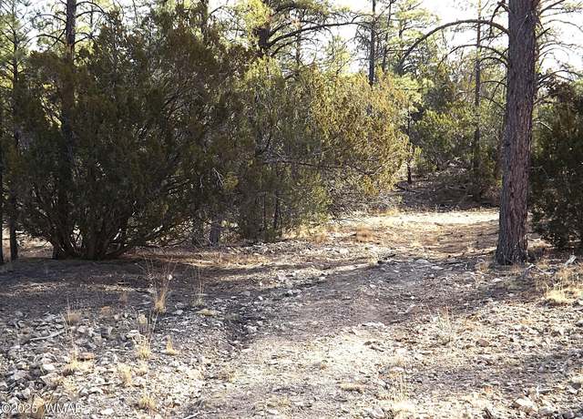 Property at 3341 Sawmill Ridge Loop, Heber, AZ 85928