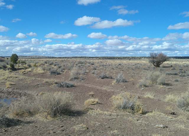 Property at TBD Woodland Valley Rnch, St. Johns, AZ 85936