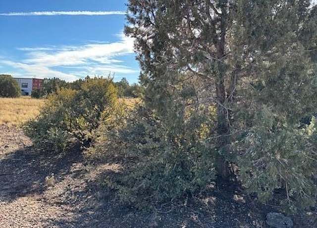 Property at 8413 Navajo Dr, Show Low, AZ 85901