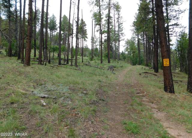 Property at 13 N2151, Alpine, AZ 85920