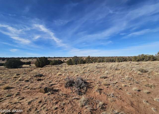 Property at TBD Lot 236 N CR 9234, Concho, AZ 85924