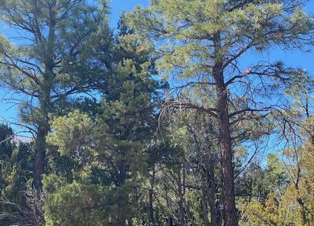 Property at 2600 N Eagle View Cir, Show Low, AZ 85901