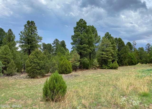 Property at 2026 State Route 277, Heber, AZ 85928