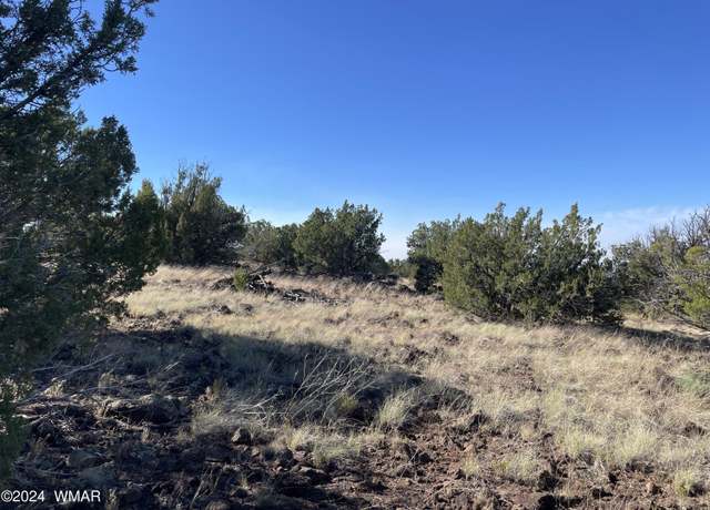 Property at 12 County Rd #8232, Concho, AZ 85924