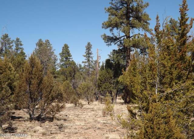 Property at 0004X Parcel 2 Section 31, Overgaard, AZ 85933