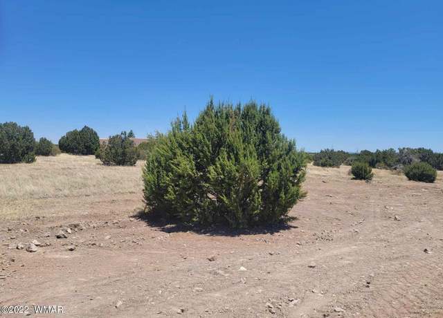 Property at 8430 Lake View Dr, Show Low, AZ 85901