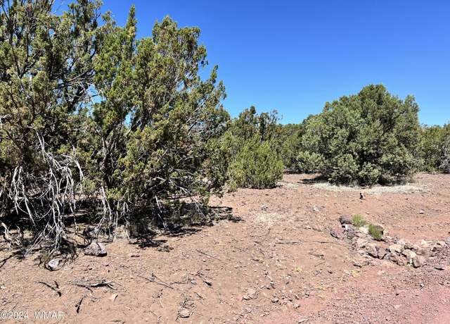 Property at LOT 416 TBD, Vernon, AZ 85940