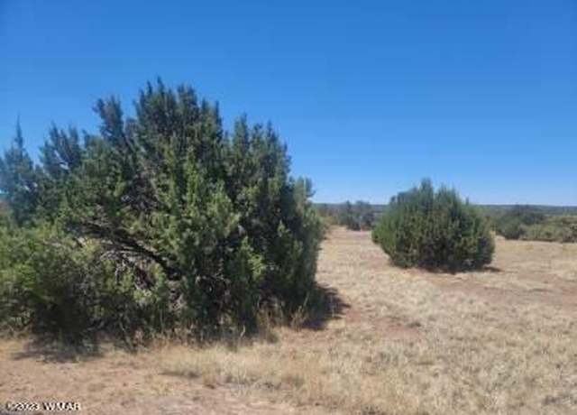 Property at 8435 Lake View Dr, Show Low, AZ 85901