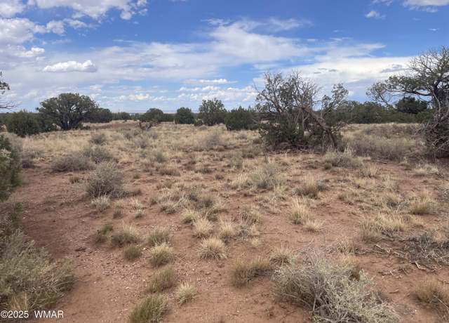 Property at 4253 Clydesdale Rd, Snowflake, AZ 85937