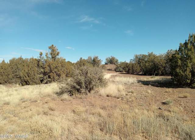Property at 8492 Cannon Blvd, Show Low, AZ 85901