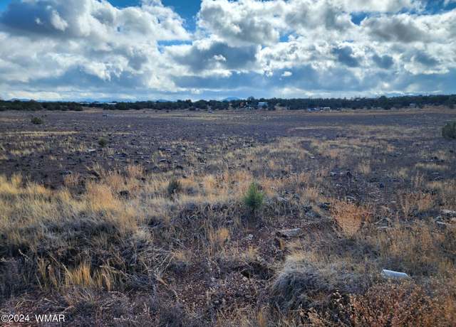 Property at 39 N 3528, Concho, AZ 85924