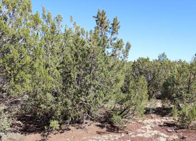 Property at 56 & 58 Co Rd 3193, Vernon, AZ 85940