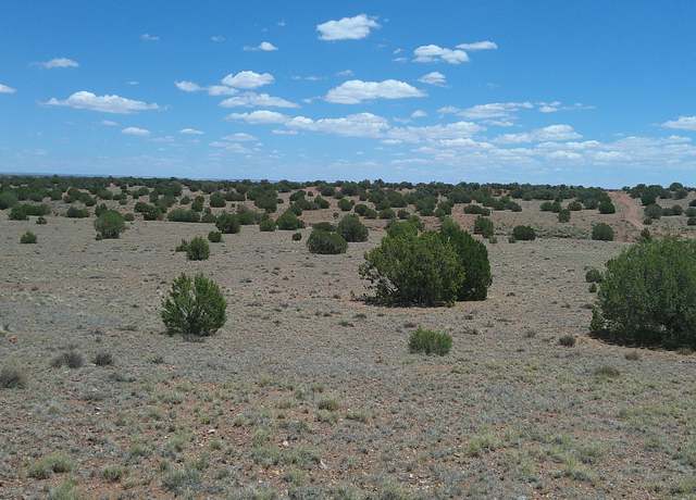 Property at TBD Ranch of the White Mtns, Concho, AZ 85924
