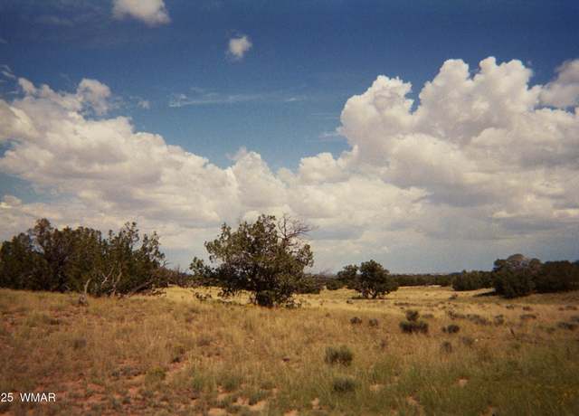 Property at 0 N6702, St. Johns, AZ 85936