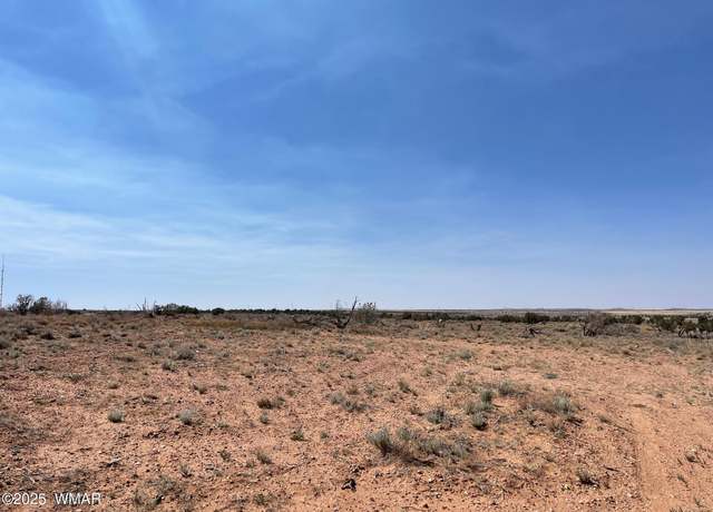 Property at Parcel A HIghway 77, Snowflake, AZ 85937