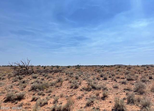 Property at Parcel B Highway 77, Snowflake, AZ 85937