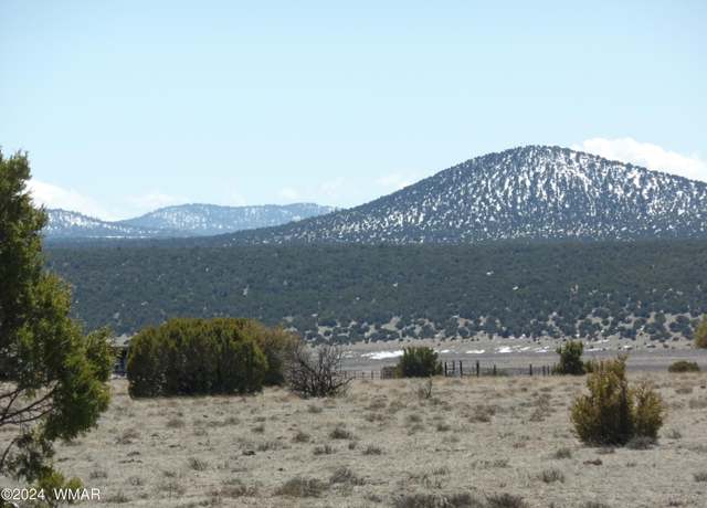 Property at 30 Acres Sec 13, T11N, R23E :SE4 SE4, Show Low, AZ 85901