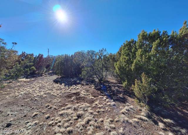 Property at TBD N3119 St, Vernon, AZ 85940