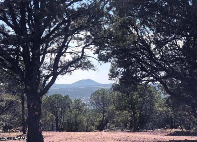 Property at Lot 20 Mountain Pine Rd, Vernon, AZ 85940
