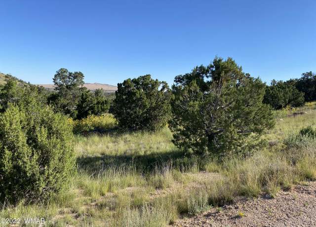 Property at 00 N4078, Springerville, AZ 85938