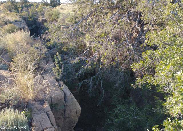Property at Lot 682 Chevelon Canyon Rnch, Heber, AZ 85928