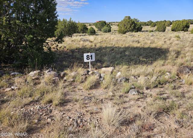 Property at TBD CR 8620 Lot 81, Concho, AZ 85924