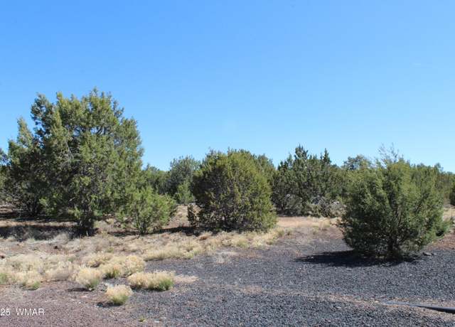 Property at 28 County Road N3099, Vernon, AZ 85940