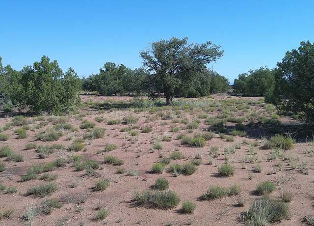 Property at 4434 Indian Bend Rd, Snowflake, AZ 85937