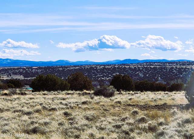 Property at 31 County Road 5079, Concho, AZ 85924