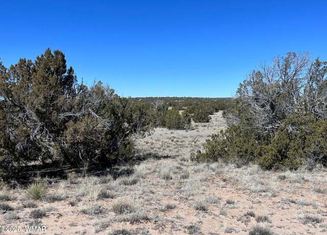 Property at 004A N N7204, St. Johns, AZ 85936
