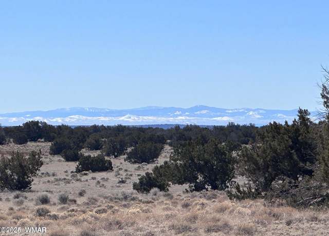 Property at 004P N N7204, St. Johns, AZ 85936