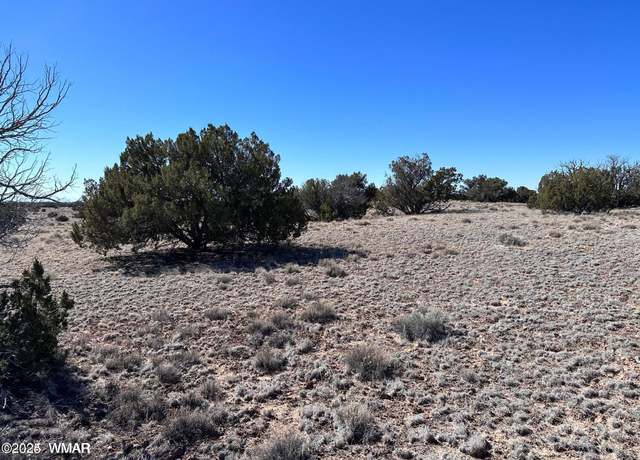 Property at 004Q N N7204, St. Johns, AZ 85936