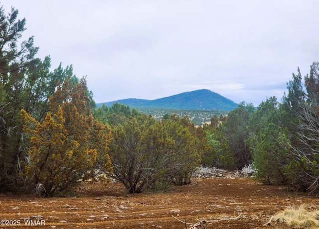 Property at 23 N 3084, Vernon, AZ 85940