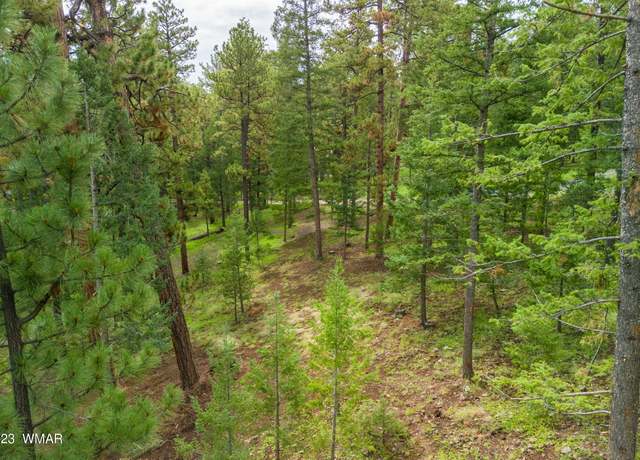 Property at 29 N1068, Greer, AZ 85927