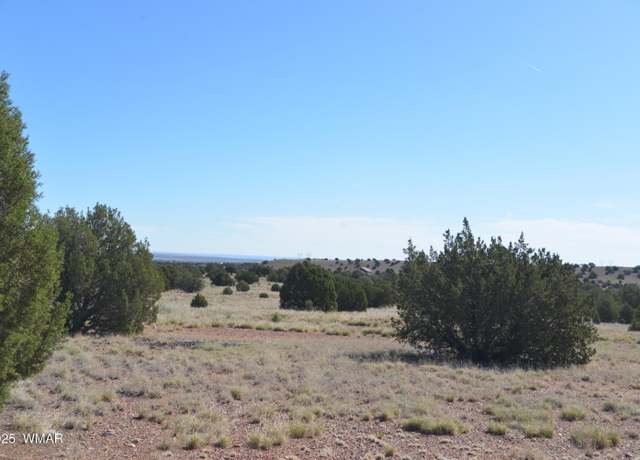 Property at 9234 N And 9218 Red Riv, Concho, AZ 85924