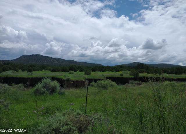 Property at 62 County Road 3033, Concho, AZ 85924