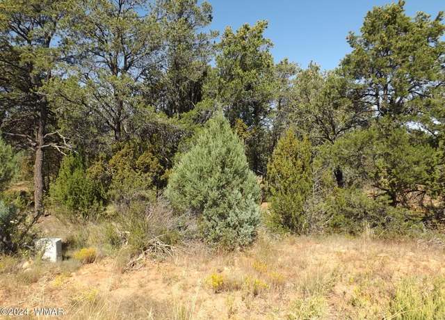 Property at 1554 Mainline Rd, Heber, AZ 85928