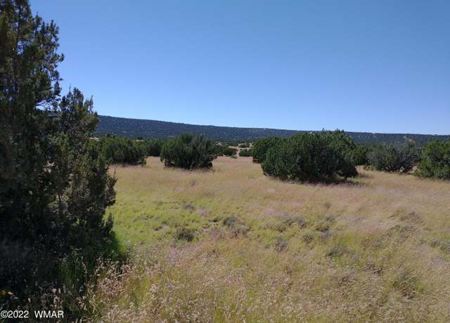 Property at 43 County Rd 8014, Concho, AZ 85924