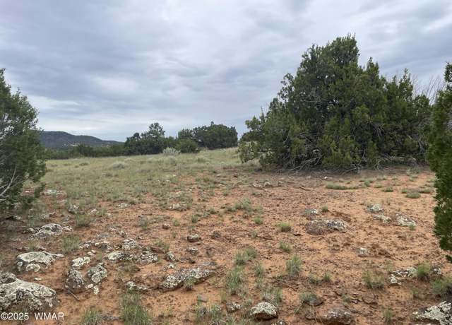 Property at 43 Charleen Dr Unit CR 8206, Concho, AZ 85924