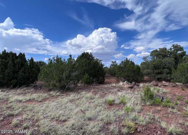 Property at 81 CR 8114 (Grant Dr.), Concho, AZ 85924