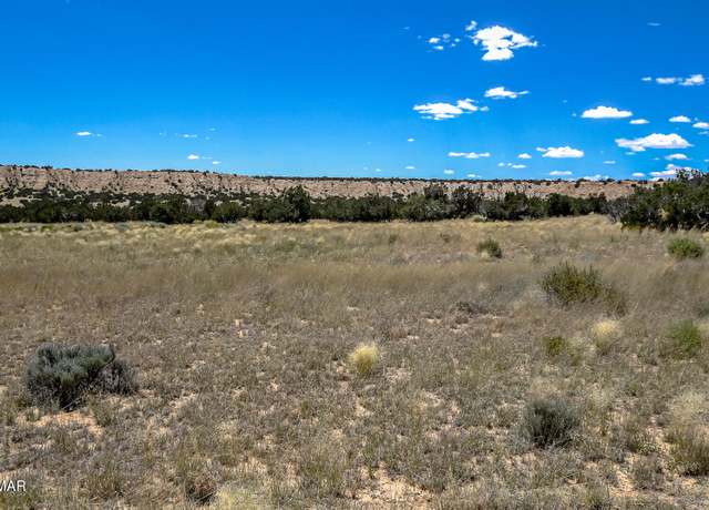 Property at XXX10 Hwy 191, Chambers, AZ 86502