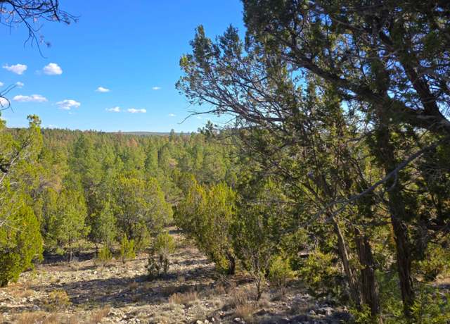 Property at 2947 E Lookout Ln, Overgaard, AZ 85933
