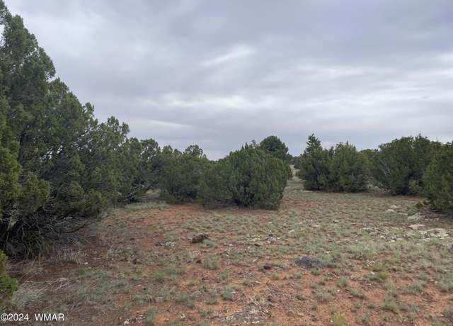 Property at 153 California Ave, Concho, AZ 85924