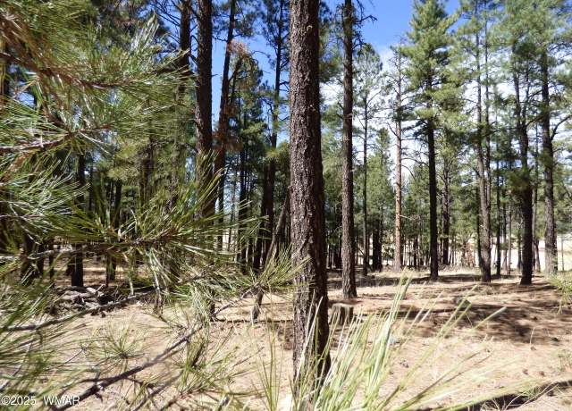 Property at 8B County Road 2267, Escudilla Rd, Alpine, AZ 85920