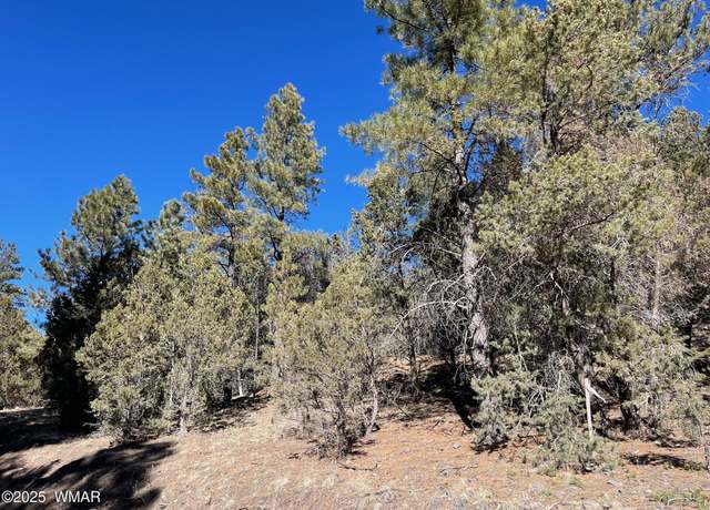 Property at 75 County Road 2108, Nutrioso, AZ 85932